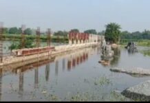 हिंडन नदी में जल स्तर बढ़ने से फसल खराब होने का खतरा, नदी किनारे बसी बस्तियों में पानी भरा