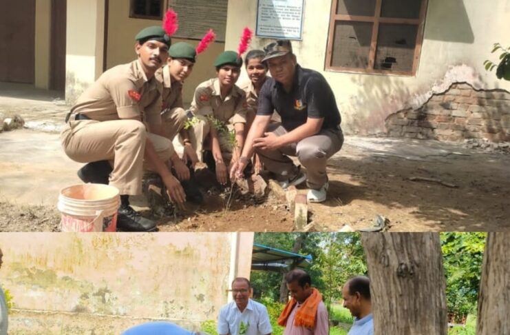 सी. एल. जैन महाविद्यालय, फिरोजाबाद में आज दिनांक 12 जुलाई 2026 को पर्यावरण संरक्षण की दिशा में एक महत्वपूर्ण पहल करते हुए पौधारोपण कार्यक्रम