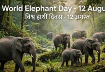विश्व हाथी दिवस 12 अगस्त, दुनिया की 60% से अधिक जंगली एशियाई हाथी आबादी भारत में