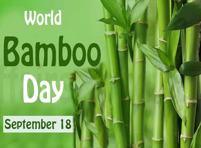 Bamboo Day