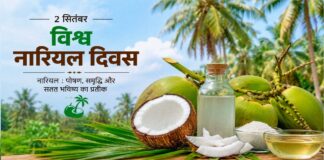 विश्व नारियल दिवस 2 सितम्बर : ‘कल्पवृक्ष’ के रूप में पहचाना जाता है नारियल, करोड़ों लोगों की आजीविका का साधन