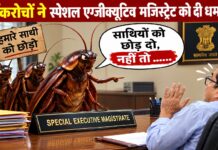 कॉकरोचों ने स्पेशल एग्जीक्यूटिव मजिस्ट्रेट को दी धमकी, आशुतोष रांका और सौरव दास की रिहाई की याचिका की सुनवाई का मामला, अज्ञात कॉकरोचों के खिलाफ FIR दर्ज