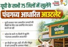 गो आधारित कारोबार को बाजार से जोड़ने की तैयारी, यूपी के सभी जिलों में खोले जाएंगे पंचगव्य आउटलेट