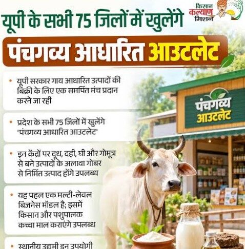 गो आधारित कारोबार को बाजार से जोड़ने की तैयारी, यूपी के सभी जिलों में खोले जाएंगे पंचगव्य आउटलेट