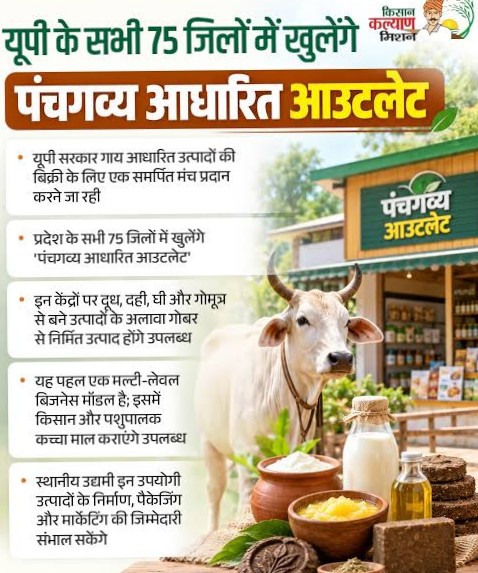 cow products (1)